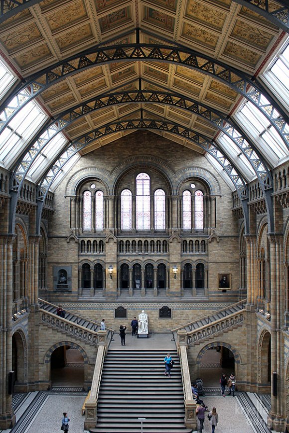The British Natural History Museum is such an impressive building. Custom built to house dinosaurs!